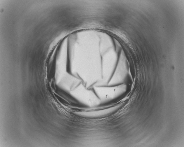 X0000070211366200606161631