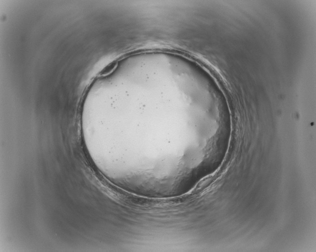 X0000070211367200606161631