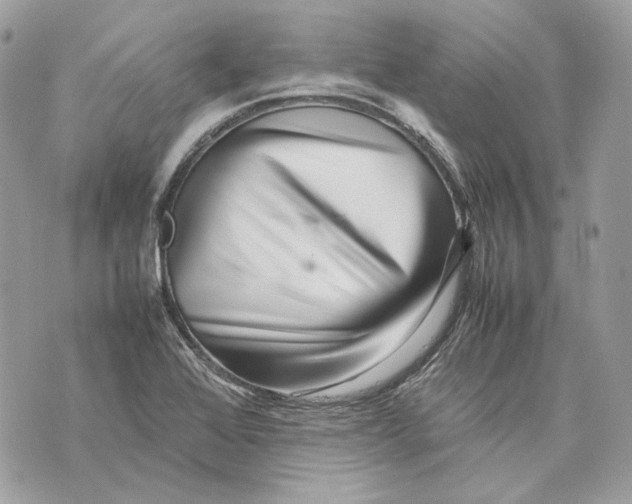 X0000070211368200606161631