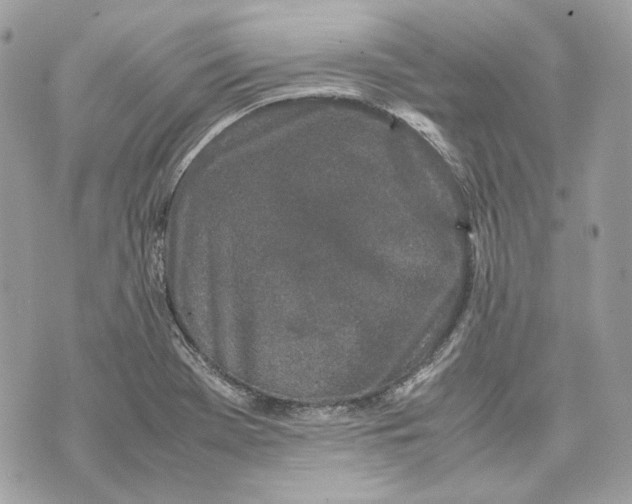 X0000070211369200606161631