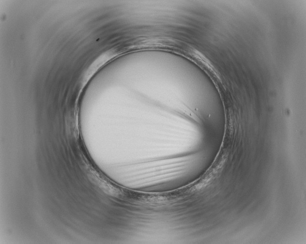 X0000070211370200606161631