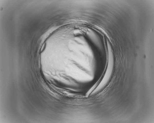 X0000070211371200606161631