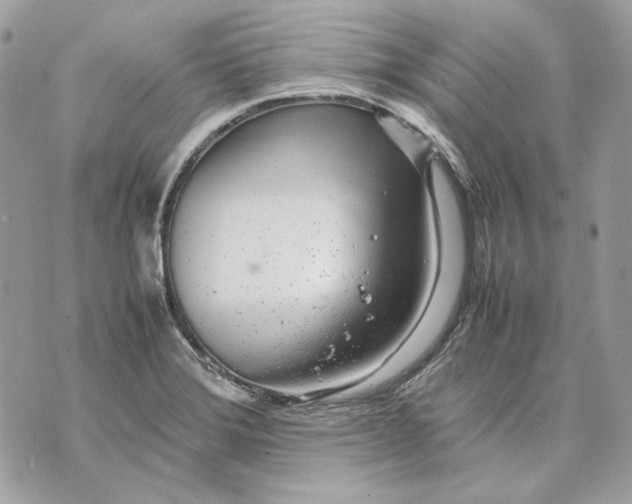 X0000070211372200606161631