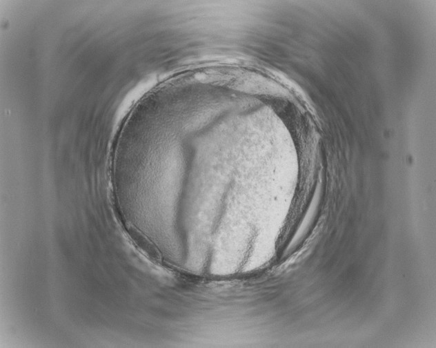 X0000070211373200606161631