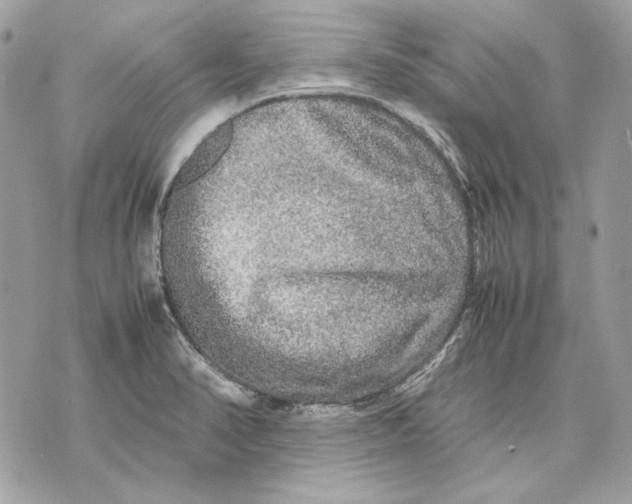 X0000070211374200606161631