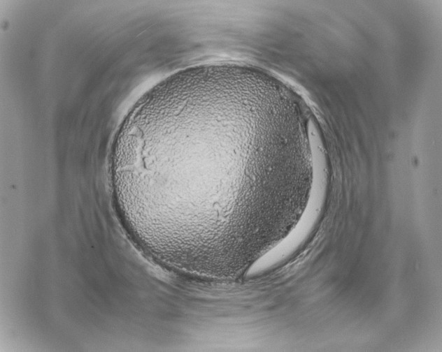 X0000070211375200606161631