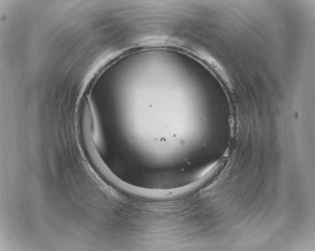 X0000070211376200606161631