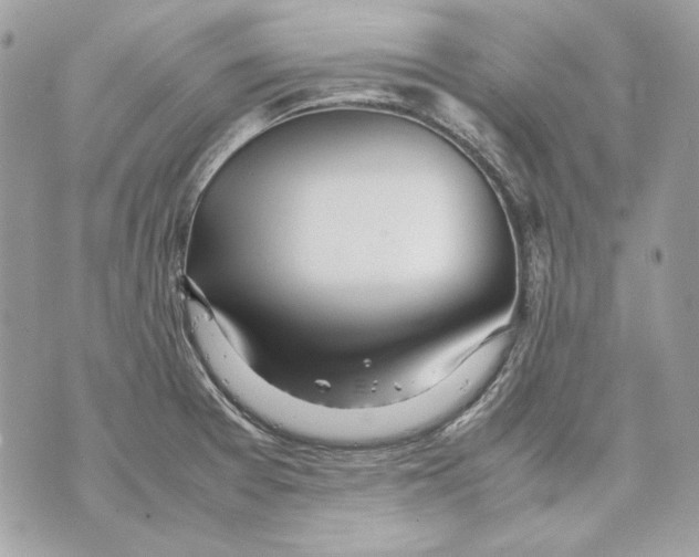 X0000070211377200606161631