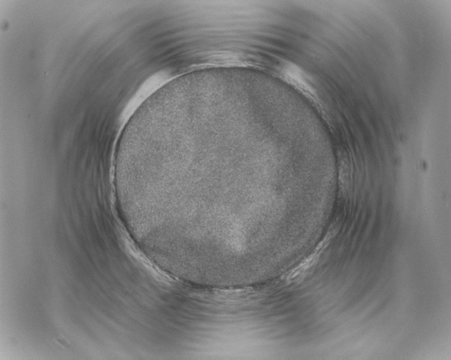 X0000070211378200606161631