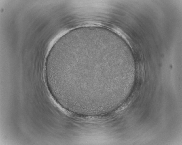 X0000070211379200606161631