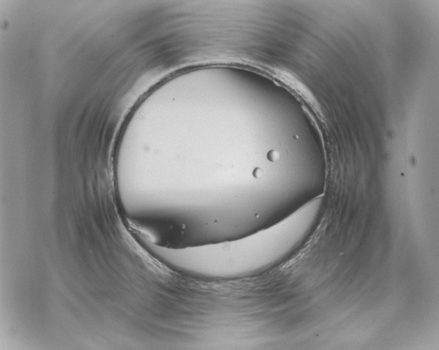 X0000070211380200606161631