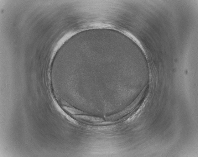 X0000070211381200606161631