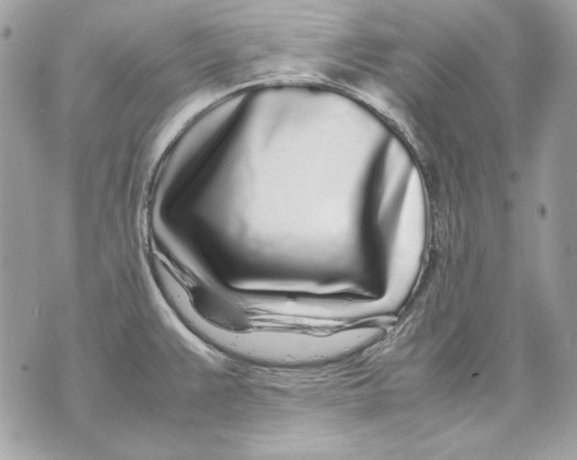 X0000070211383200606161630