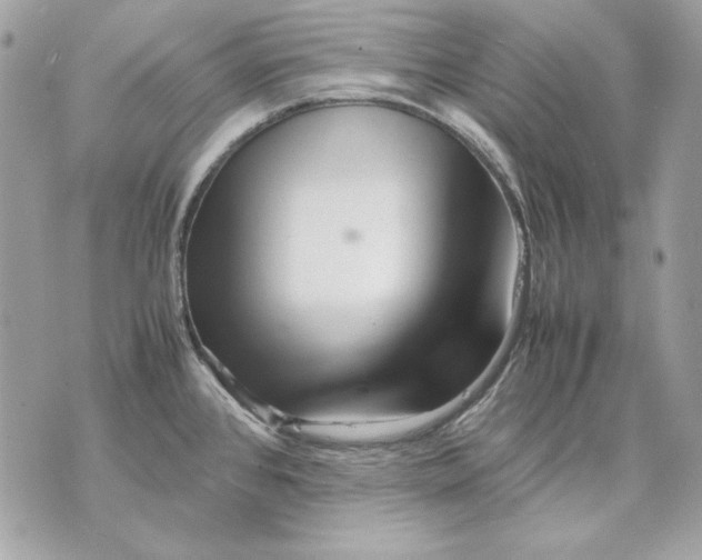 X0000070211384200606161630