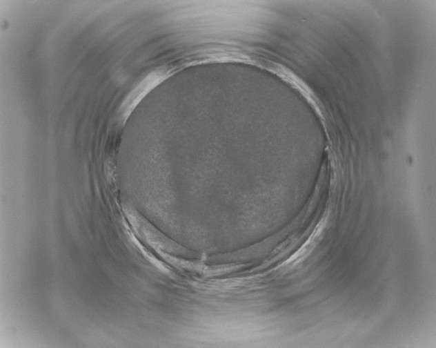 X0000070211385200606161630