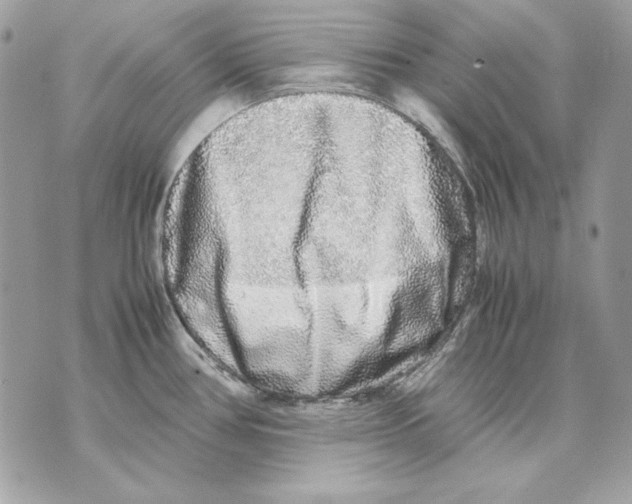 X0000070211386200606161630