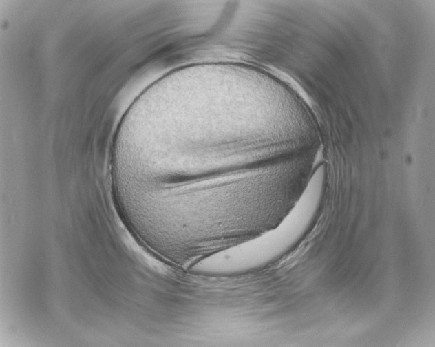 X0000070211387200606161630