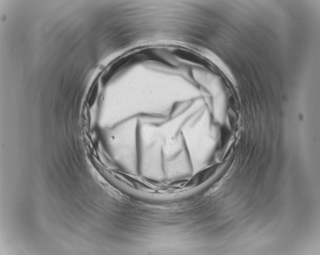 X0000070211388200606161630