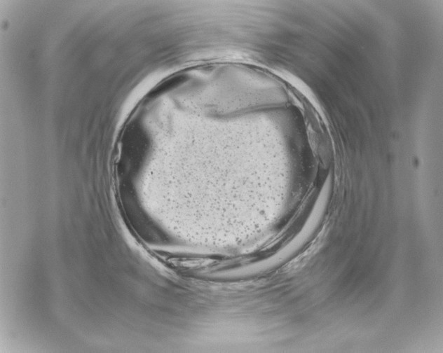 X0000070211389200606161630