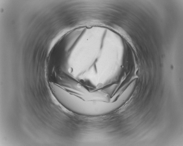 X0000070211390200606161630