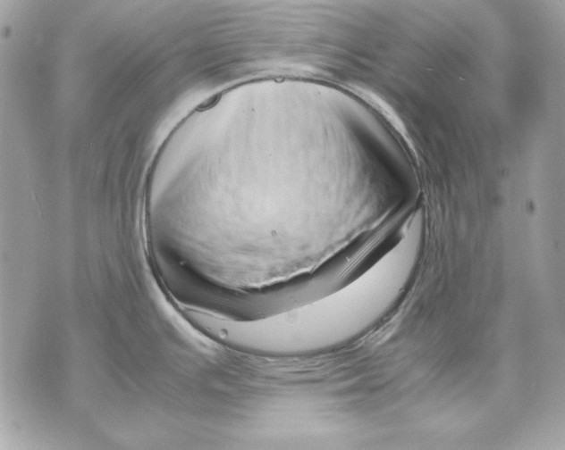 X0000070211391200606161630