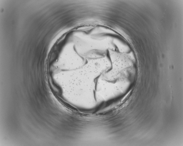 X0000070211392200606161630