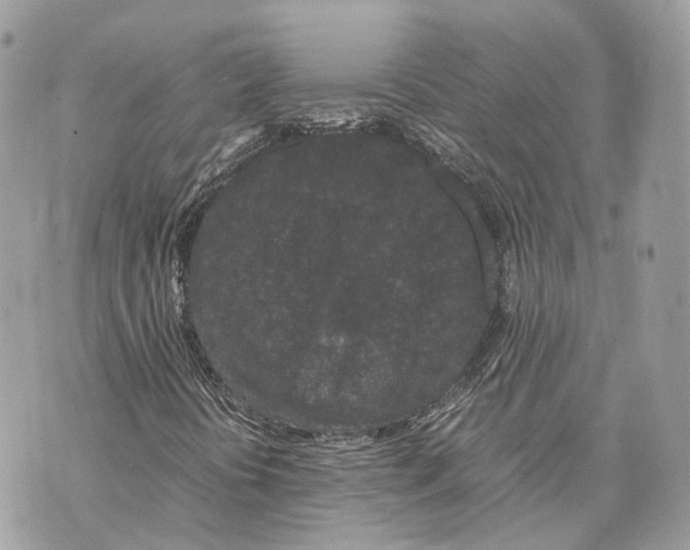 X0000070211394200606161630