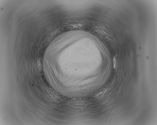 X0000070211395200606161630