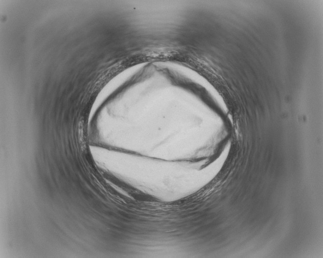 X0000070211396200606161630