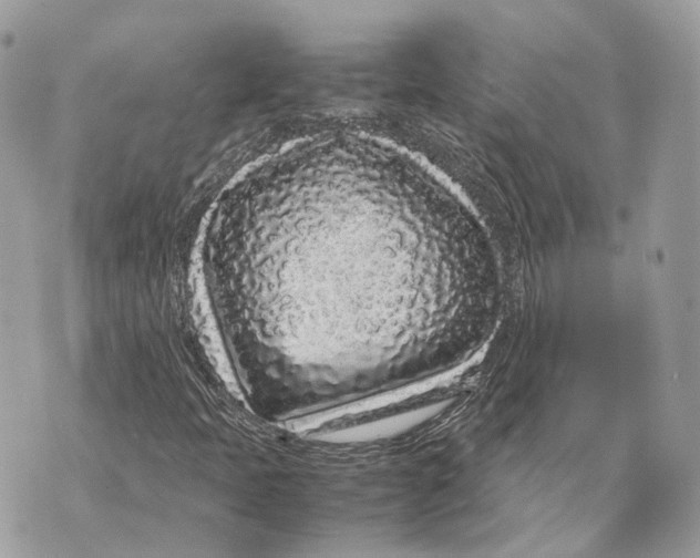 X0000070211397200606161630