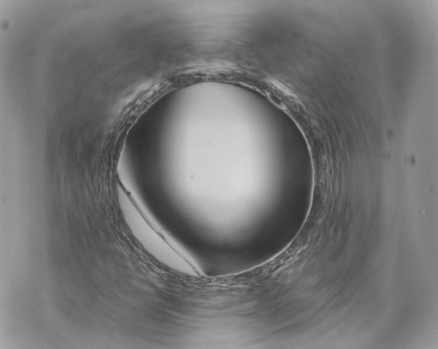 X0000070211398200606161630