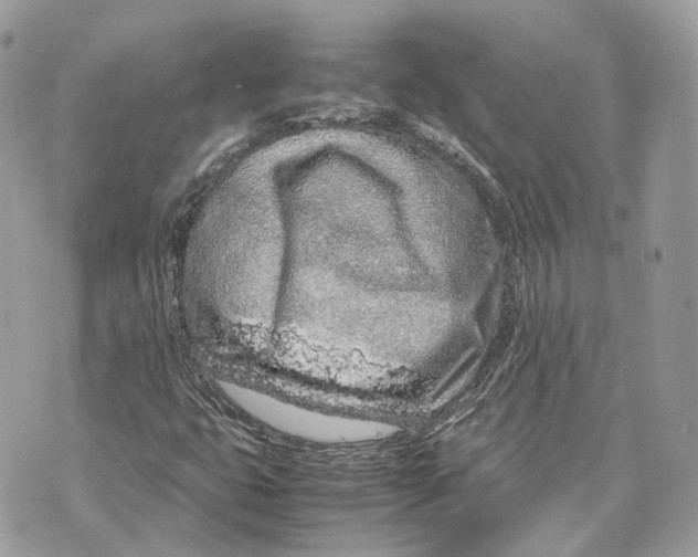 X0000070211399200606161630