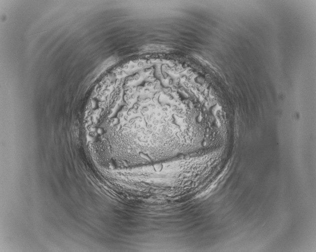 X0000070211401200606161630