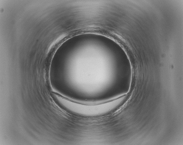 X0000070211402200606161630