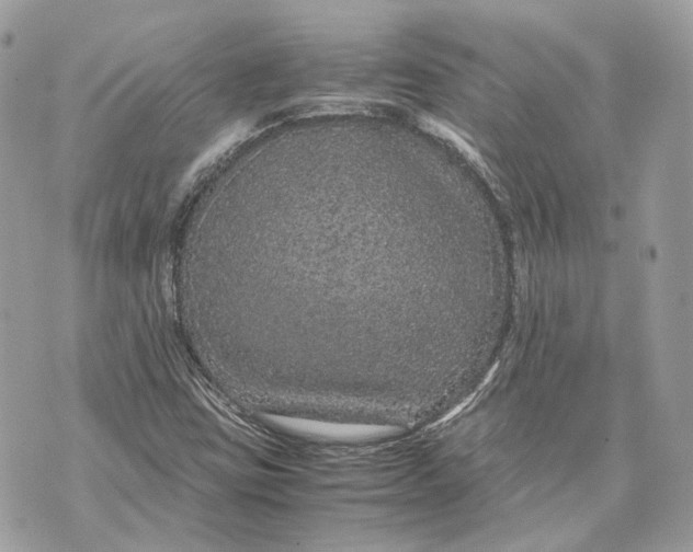 X0000070211403200606161630