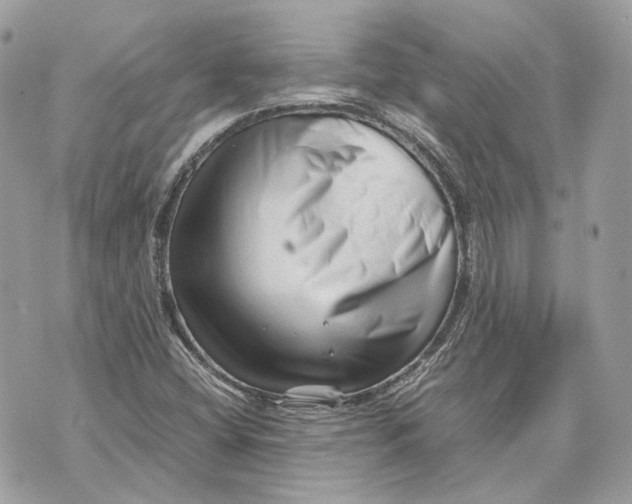 X0000070211404200606161630