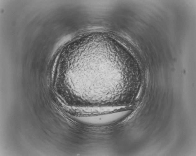 X0000070211405200606161630