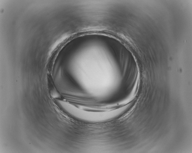 X0000070211406200606161630