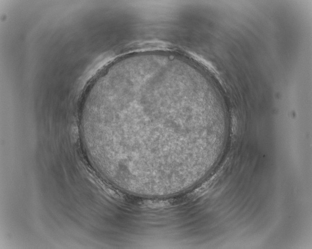 X0000070211407200606161630