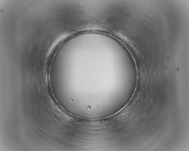 X0000070211408200606161630