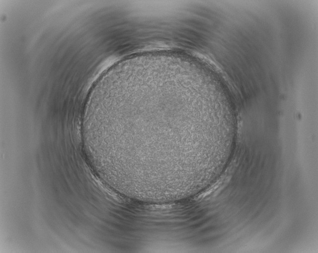 X0000070211409200606161630