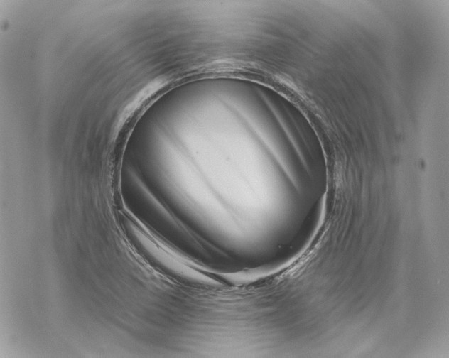 X0000070211410200606161630