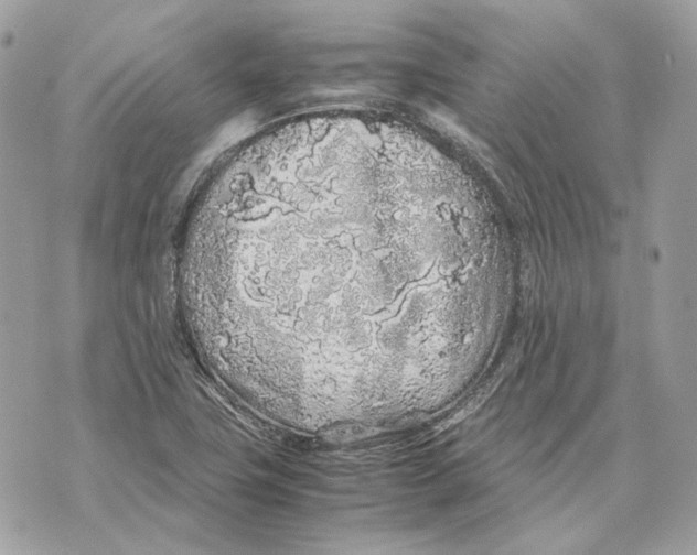 X0000070211411200606161630