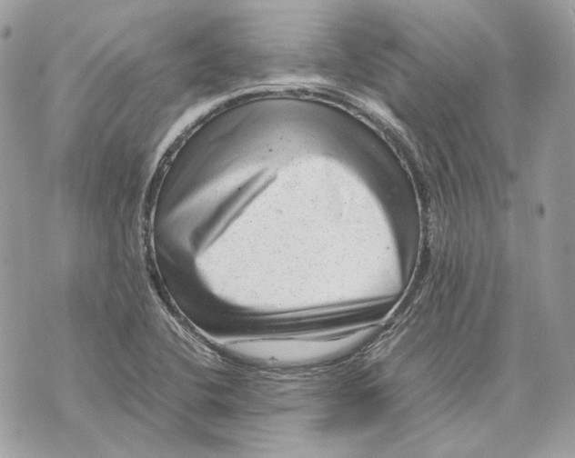 X0000070211412200606161630