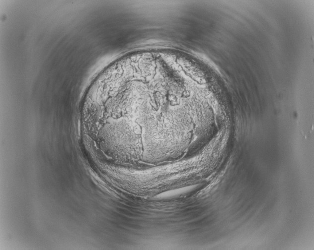 X0000070211413200606161630