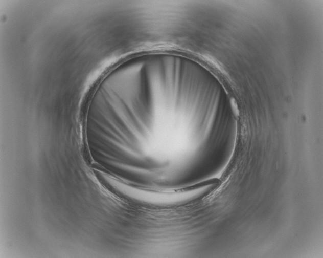 X0000070211414200606161630