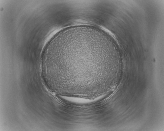 X0000070211415200606161630