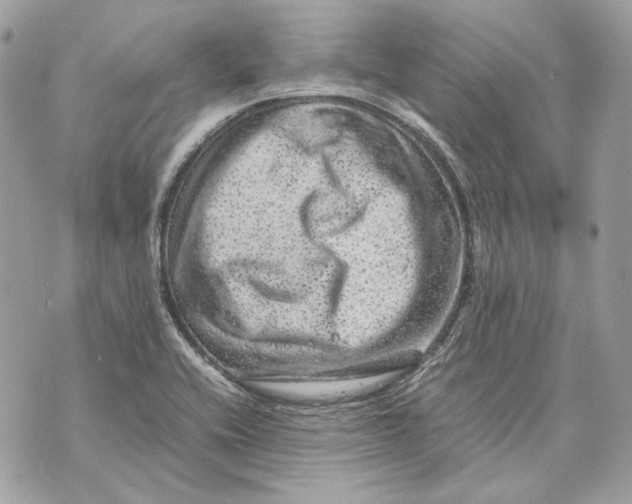 X0000070211416200606161630