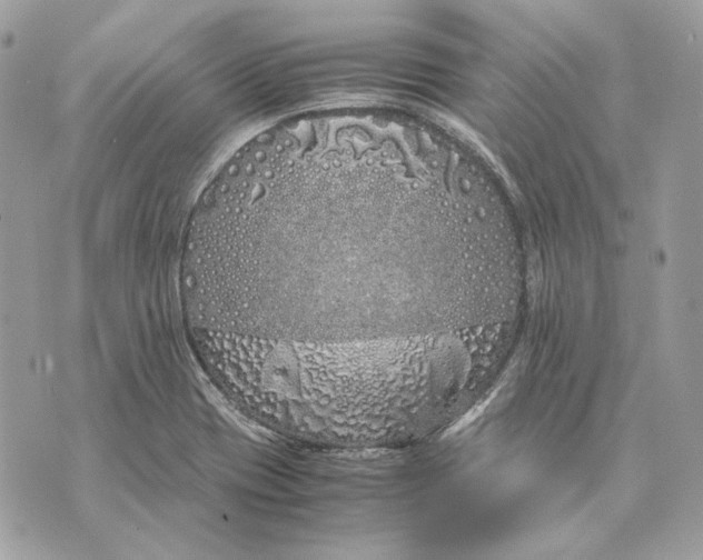 X0000070211417200606161630