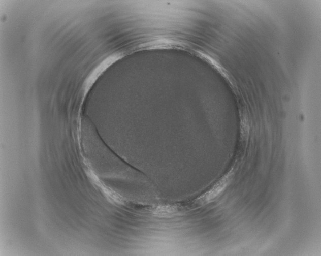 X0000070211418200606161630